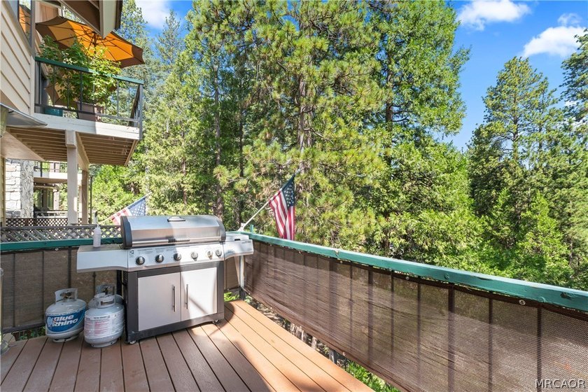 Luxury mountain living awaits in this beautifully updated - photo 35