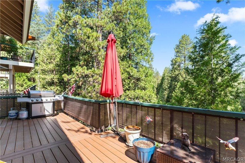 Luxury mountain living awaits in this beautifully updated - photo 36