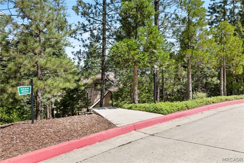 Luxury mountain living awaits in this beautifully updated - photo 40