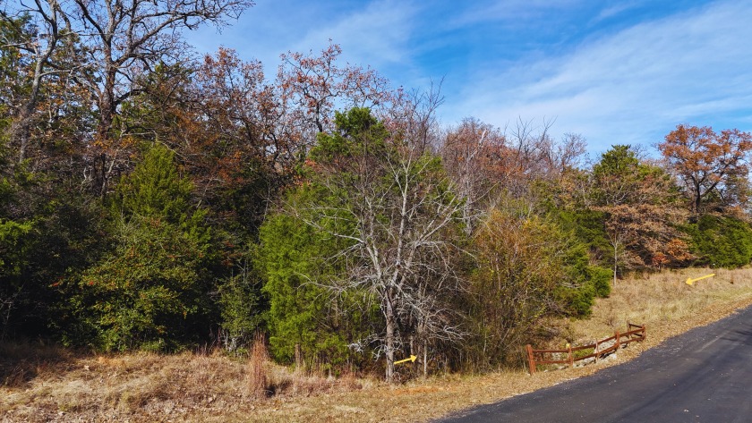 Lot 131 Lincoln Drive - photo 5