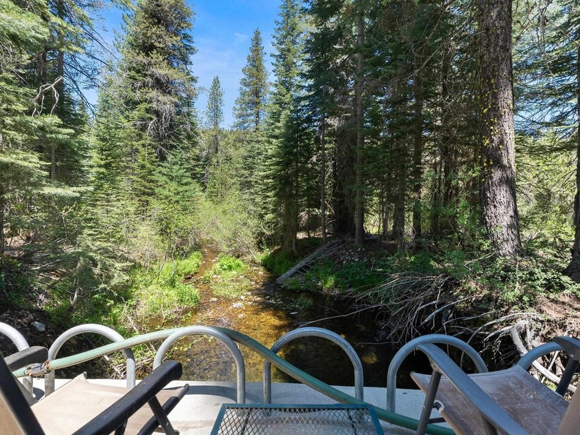 Welcome to paradise in the cozy community of Bucks Lake - photo 35