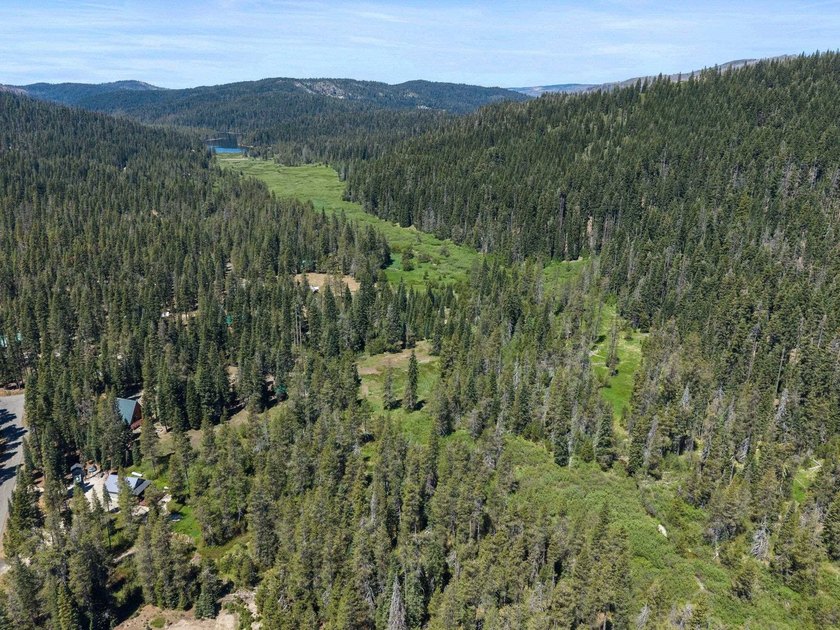 Welcome to paradise in the cozy community of Bucks Lake - photo 44