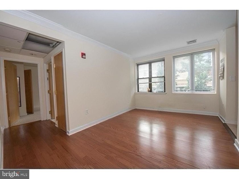 Rittenhouse Square Area Condo at 20th and Chestnut, 1 bed unit - photo 4