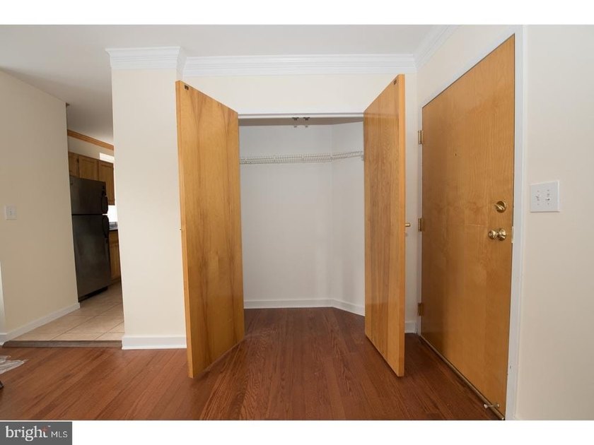 Rittenhouse Square Area Condo at 20th and Chestnut, 1 bed unit - photo 6