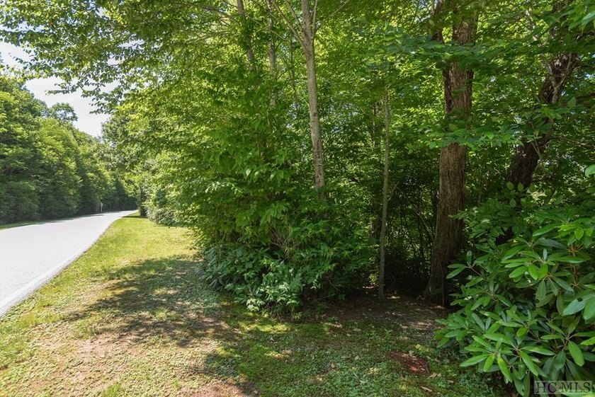 Captivating long-range views of the Blue Ridge Mountains await! - photo 4