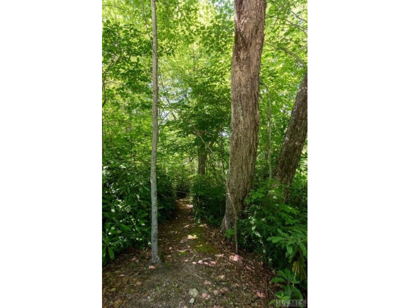 Captivating long-range views of the Blue Ridge Mountains await! - photo 5