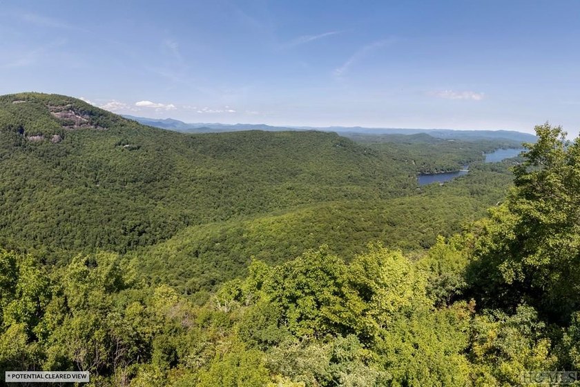 Captivating long-range views of the Blue Ridge Mountains await! - photo 9