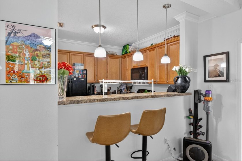 Move-In Ready 2-Bed/2-Bath Condo - Walking Distance to UF and UF - photo 12