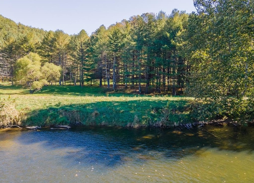 Experience the ultimate riverside retreat on this premier 5-acre - photo 2