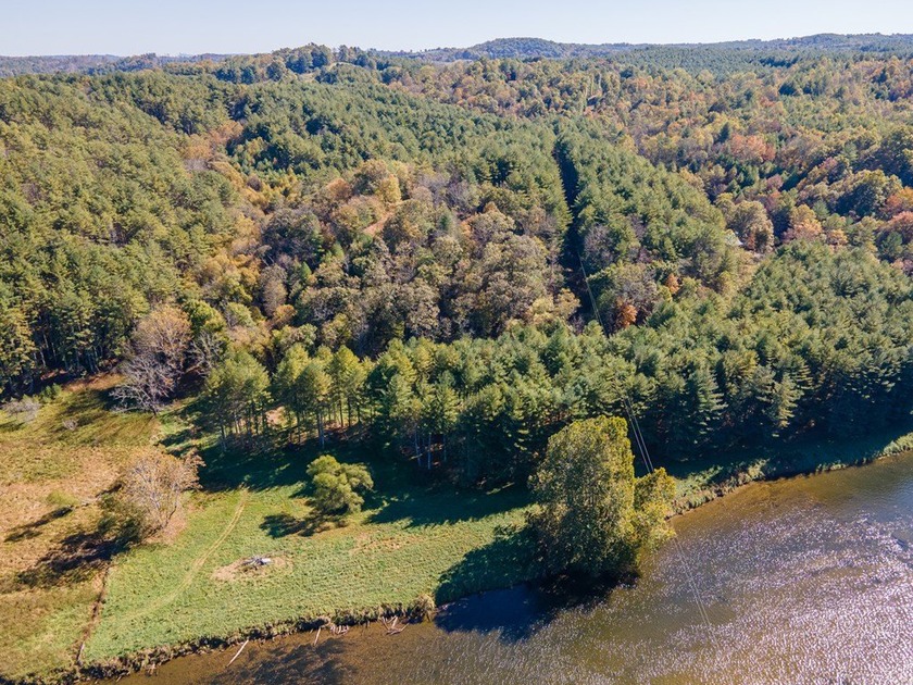 Experience the ultimate riverside retreat on this premier 5-acre - photo 5
