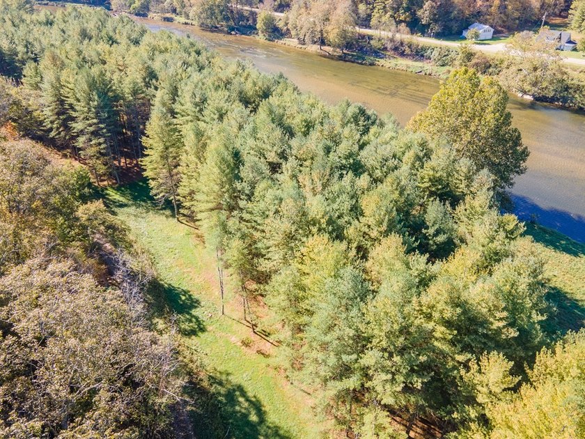 Experience the ultimate riverside retreat on this premier 5-acre - photo 10