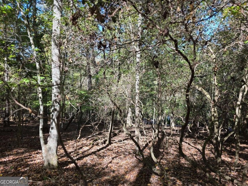 Are you thinking of a gentle almost Level lot... with seasonal - photo 6