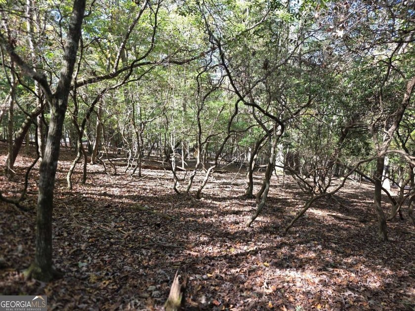 Are you thinking of a gentle almost Level lot... with seasonal - photo 8