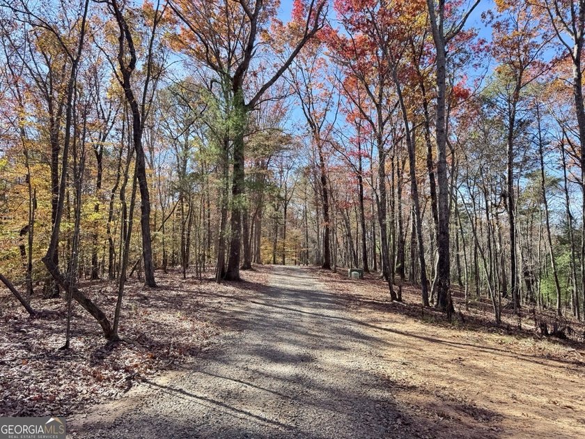 Ellijay, GA Cabin Resort Development on 60 Acres | North Georgia - photo 4