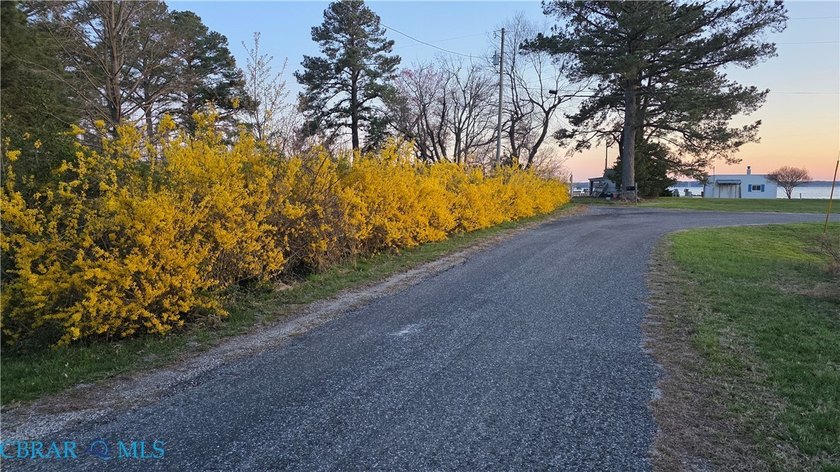 Rare waterfront opportunity with dock, bulkhead, and approx - photo 12