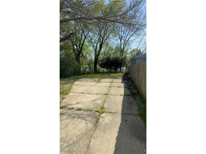 Don't miss this opportunity in Cleveland's North Collinwood - photo 3