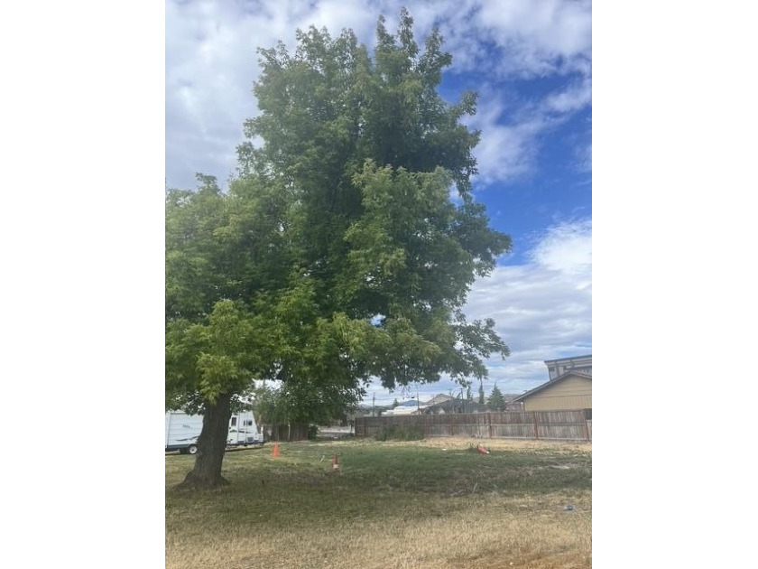 Prime corner lot in city limits - unique development opportunity - photo 3