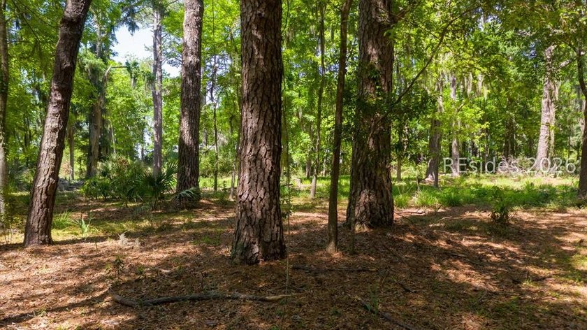 1.6 acres of buildable land located in the historic district of - photo 7