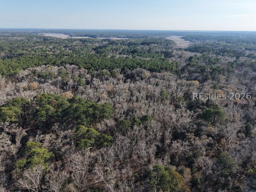 5.86 acre residential lot on Old Miller road, mature trees and - photo 3