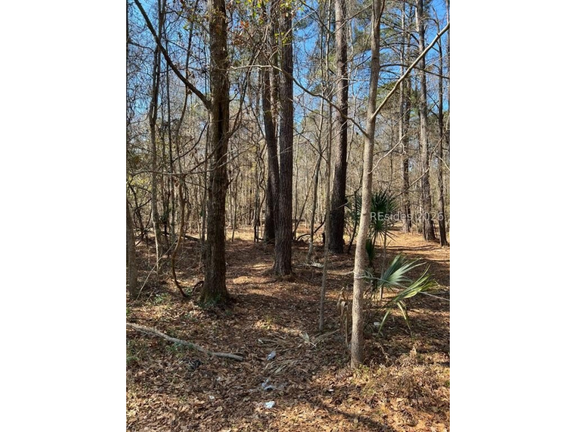5.86 acre residential lot on Old Miller road, mature trees and - photo 5