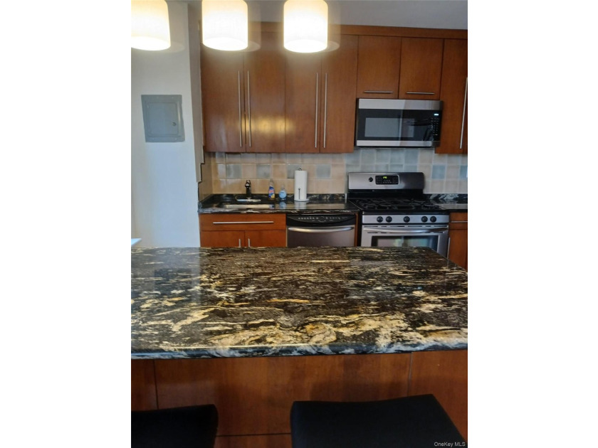 Top Floor Large One Bedroom Apartment, quiet, open kitchen - photo 7