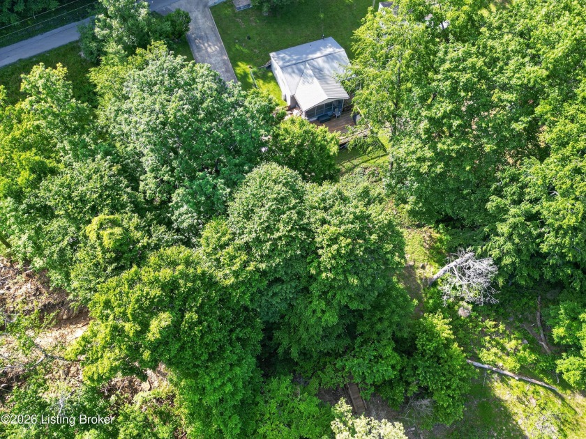 Updated waterfront home, dock &amp; boat ramp in subdivision! - photo 44