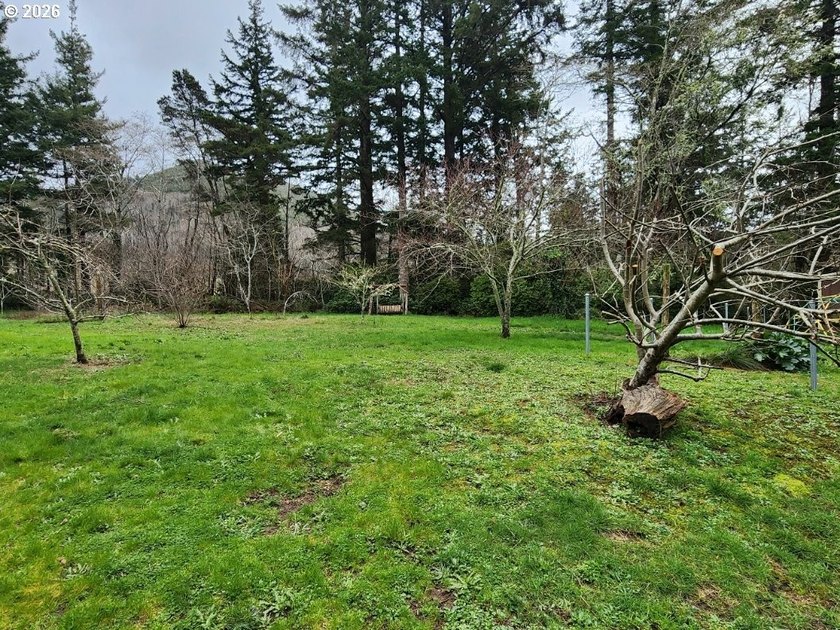 Tucked away among the Trees, this private Country retreat offers - photo 29