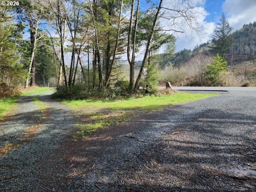 Tucked away among the Trees, this private Country retreat offers - photo 31