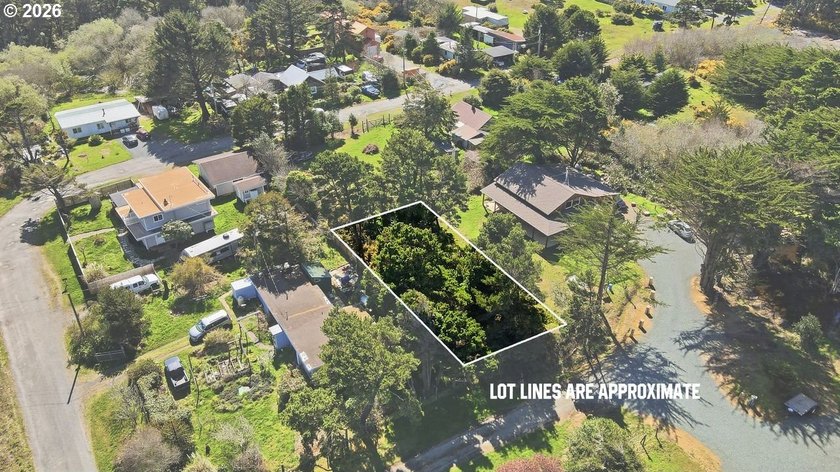 Opportunity awaits in scenic Bandon! Situated on 0.18 acres - photo 6