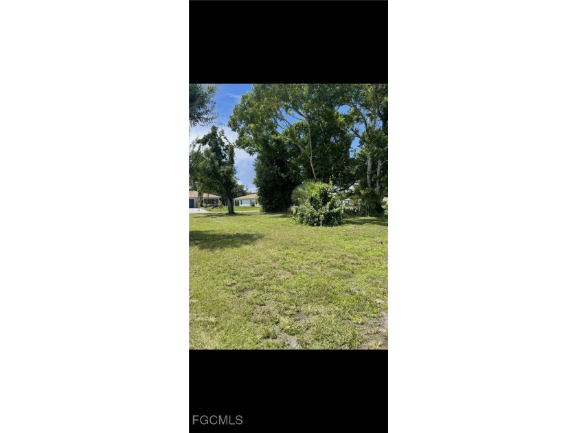 For Sale- Oversized Lot With Dual Street Access or 3 Access - photo 3