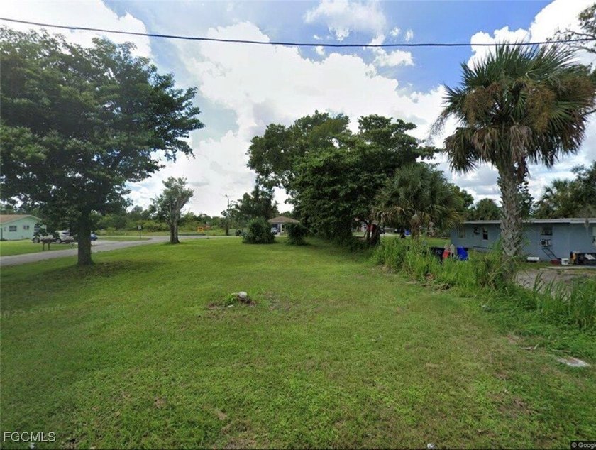 For Sale- Oversized Lot With Dual Street Access or 3 Access - photo 4