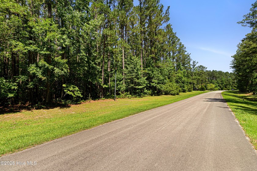 Build your coastal dream home on this spacious lot of over half - photo 12