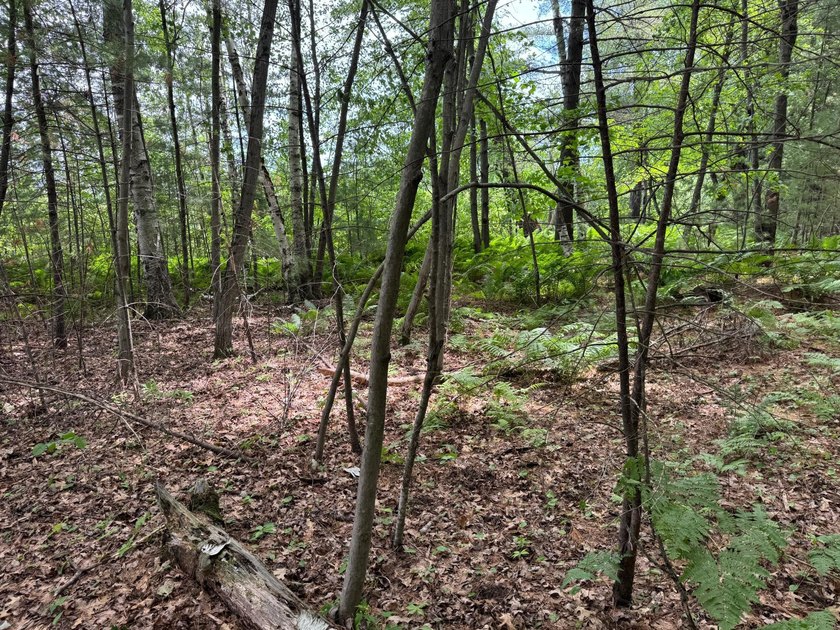 Build your dream lake home or Northwoods retreat on beautiful - photo 2