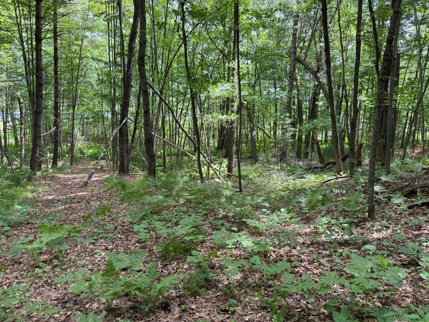 Build your dream lake home or Northwoods retreat on beautiful - photo 6