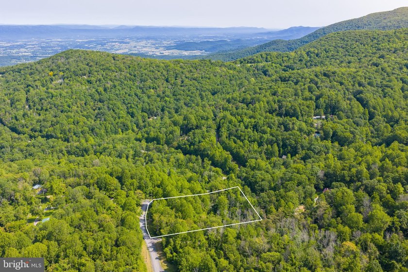 Rare opportunity to own nearly 4 acres comprised of five - photo 10
