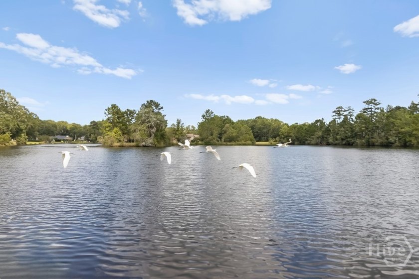 MOTIVATED SELLER! Wake up to peaceful lake views and enjoy the - photo 11