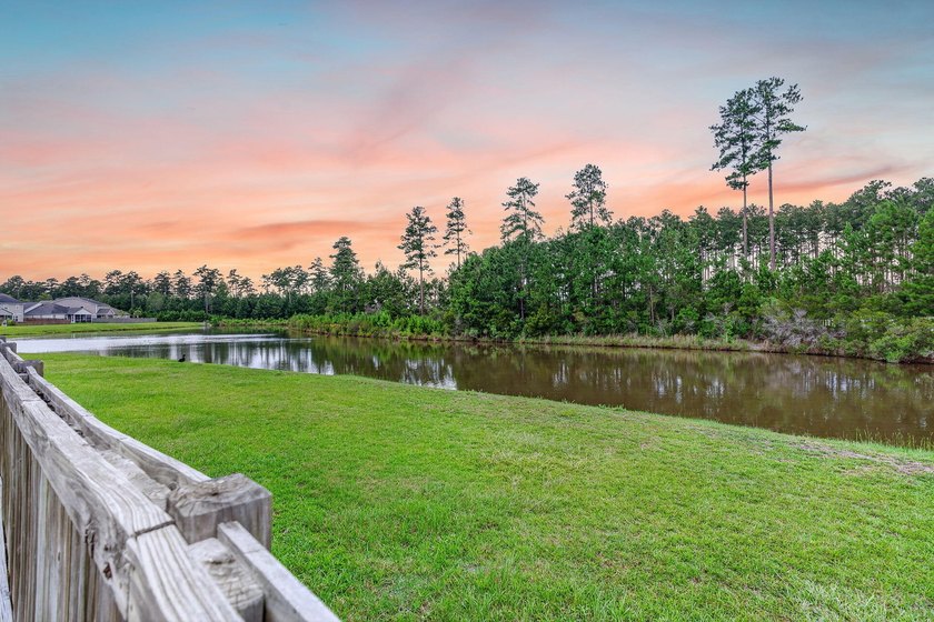 Welcome to 251 Palmetto Walk Drive, a beautifully maintained - photo 41