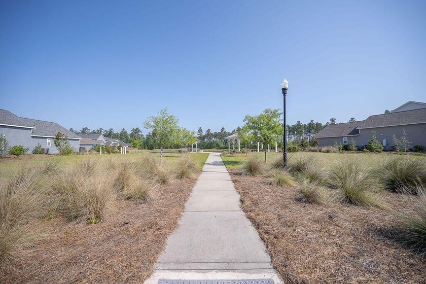 Welcome to 251 Palmetto Walk Drive, a beautifully maintained - photo 46