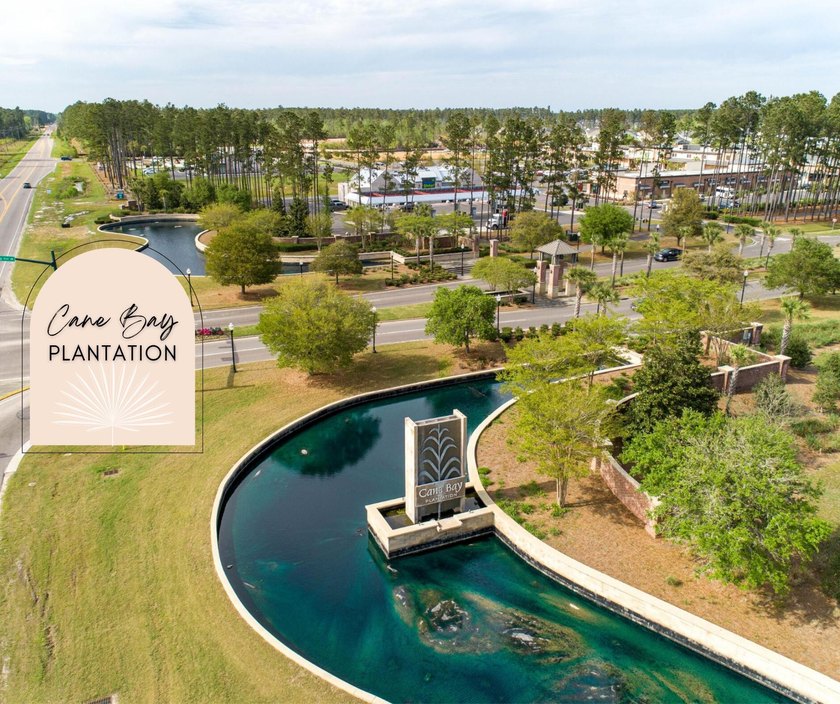 Welcome to 251 Palmetto Walk Drive, a beautifully maintained - photo 47