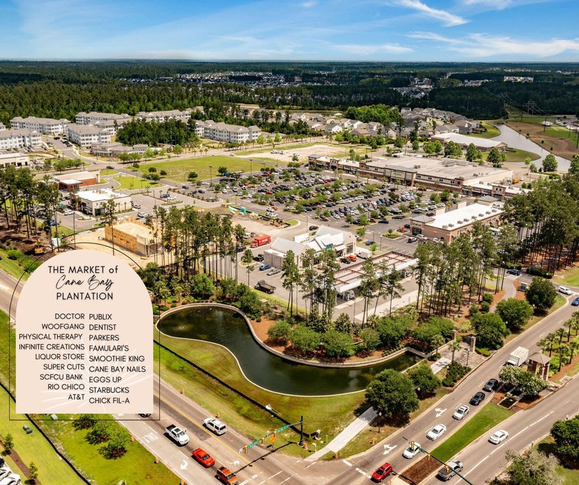 Welcome to 251 Palmetto Walk Drive, a beautifully maintained - photo 48