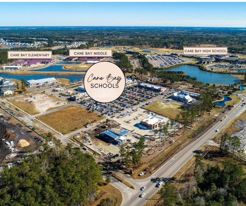 Welcome to 251 Palmetto Walk Drive, a beautifully maintained - photo 49