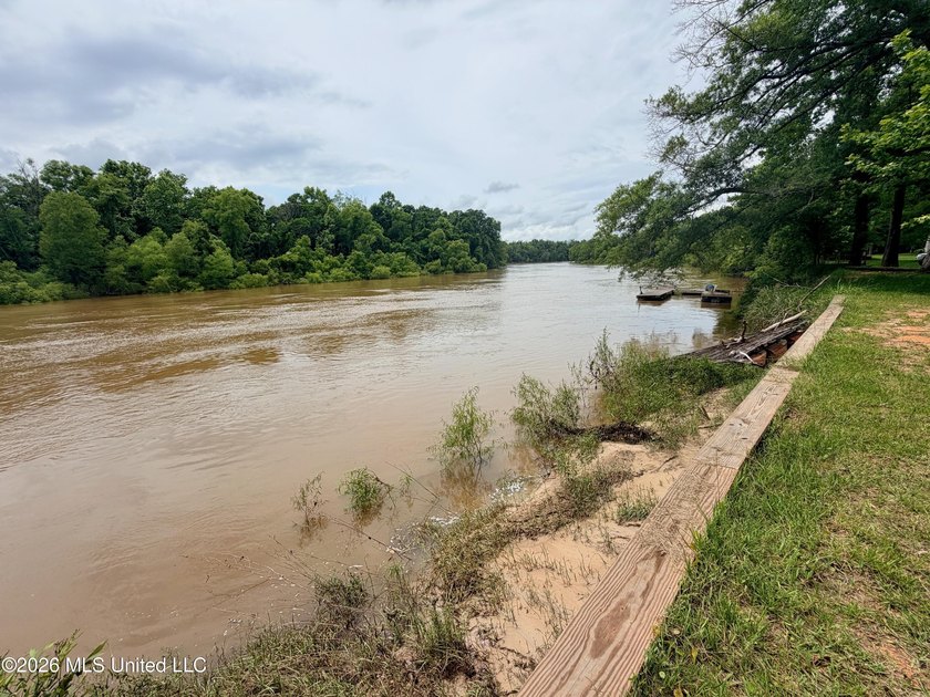 Riverfront Retreat With Panoramic Views, Sandbar Access &amp; Boat - photo 18