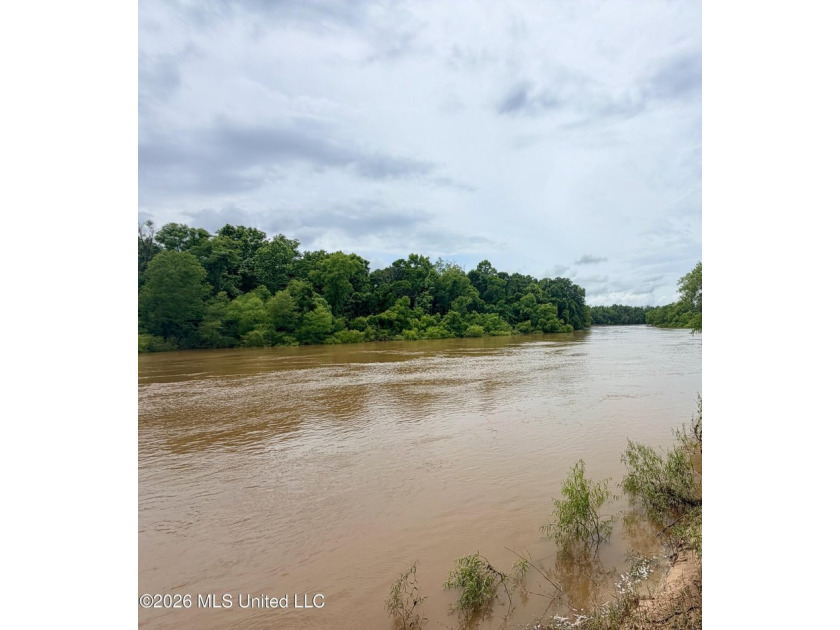 Riverfront Retreat With Panoramic Views, Sandbar Access &amp; Boat - photo 20