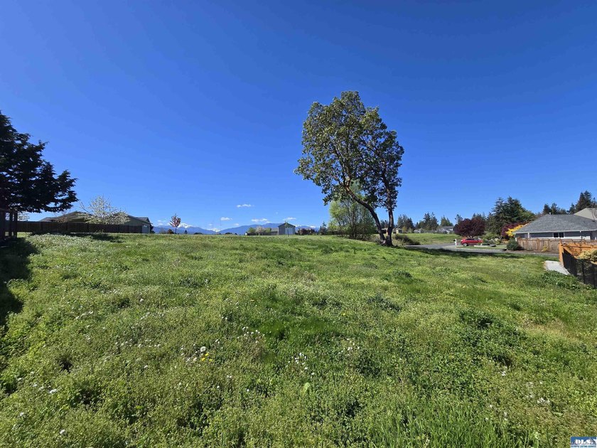 Contemporary single-level 3br, 2ba, plus office/den home in - photo 43