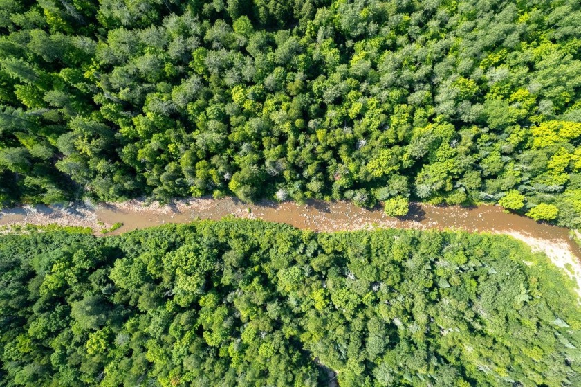 208 ACRES &amp; 2300' FRTG on Baltimore River!  SOLD - photo 3