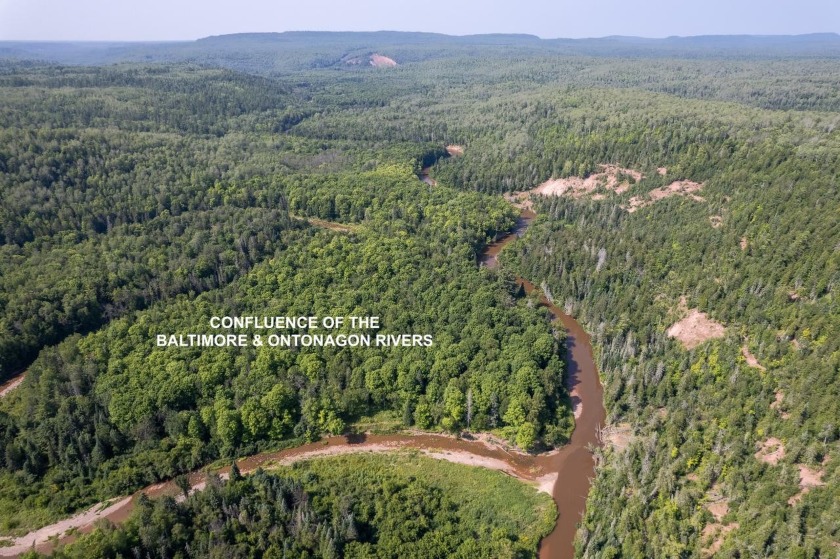 208 ACRES &amp; 2300' FRTG on Baltimore River!  SOLD - photo 4