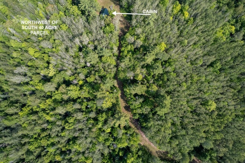 208 ACRES &amp; 2300' FRTG on Baltimore River!  SOLD - photo 5