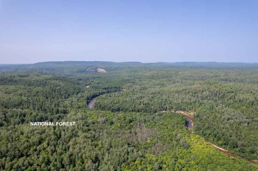 208 ACRES &amp; 2300' FRTG on Baltimore River!  SOLD - photo 6