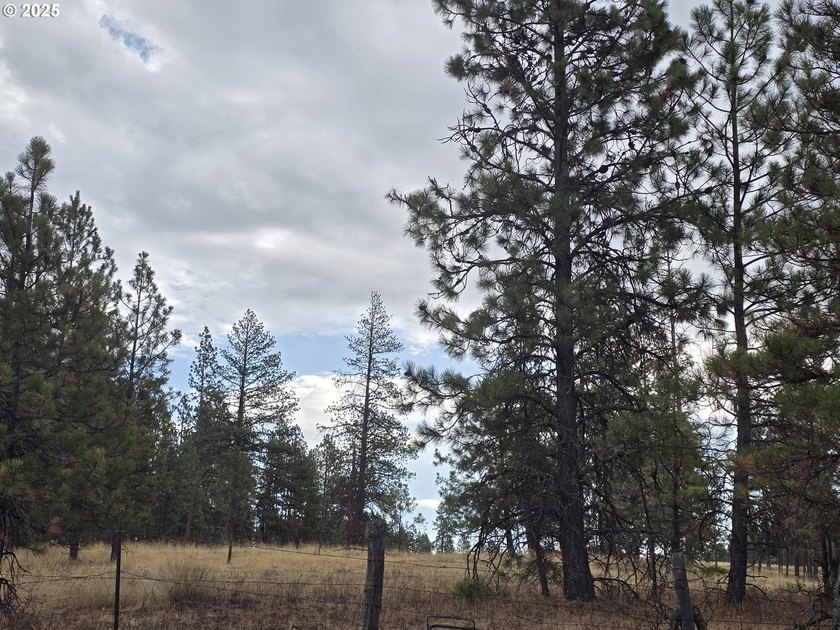 This is the Recreational property you have been waiting for!! - photo 2