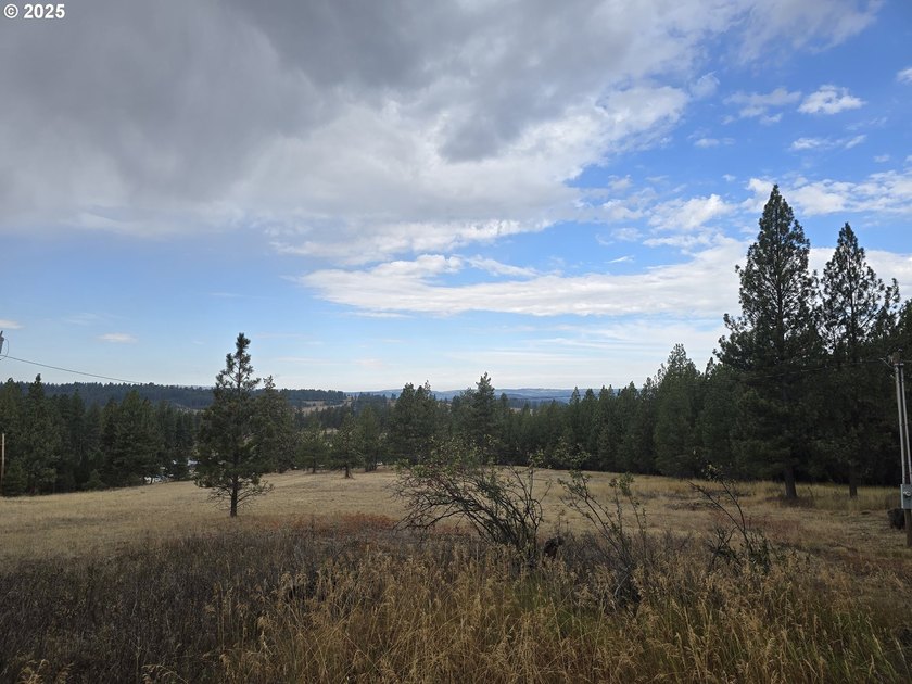 This is the Recreational property you have been waiting for!! - photo 6